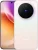 VIVO X300